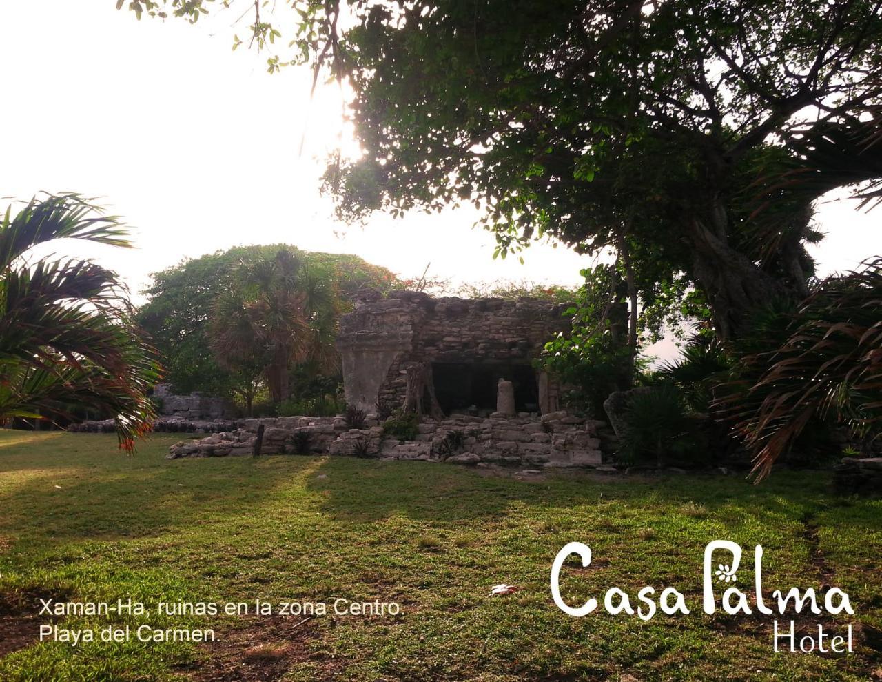 Casa Palma Hotel 普拉亚卡门 外观 照片